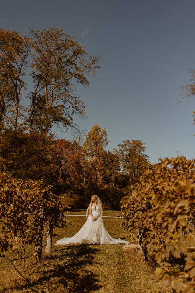 bride walking in the vineyard