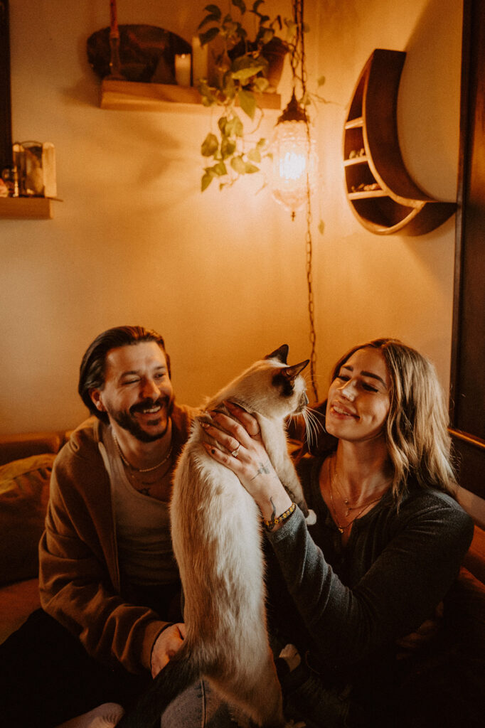 Romantic in home engagement photos with cat