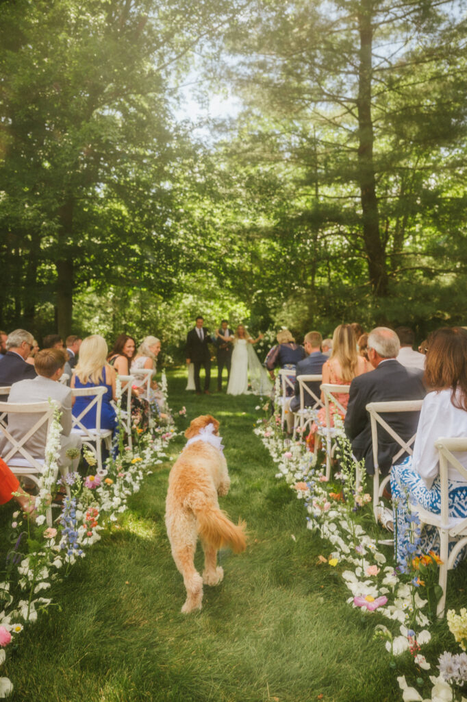 Intimate Backyard Wedding