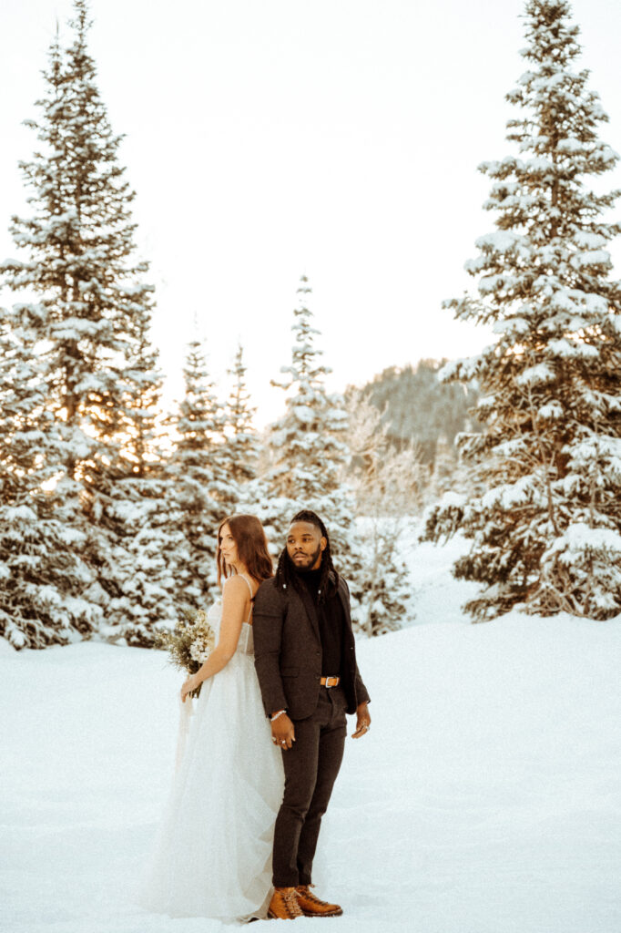 indianapolis winter Wedding